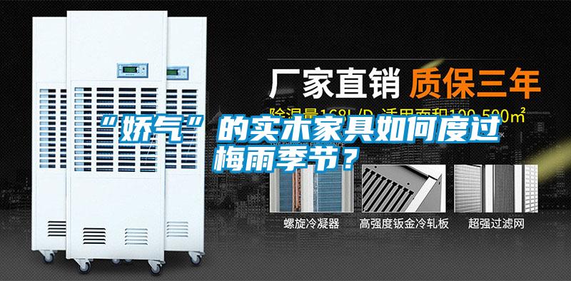 “嬌氣”的實木家具如何度過梅雨季節(jié)？