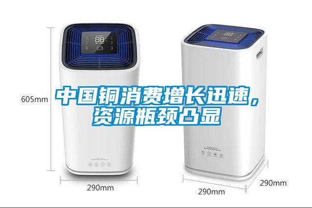 中國銅消費增長迅速，資源瓶頸凸顯