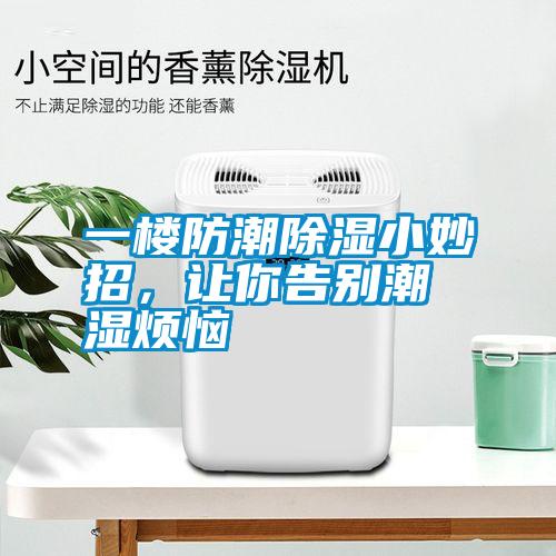 一樓防潮除濕小妙招，讓你告別潮濕煩惱