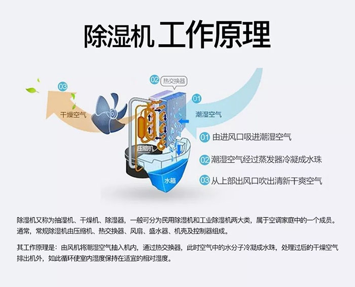 對抗梅雨天，絕不認輸！