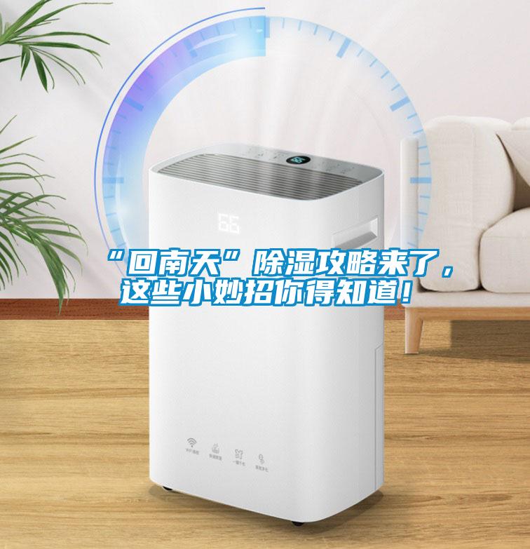“回南天”除濕攻略來了，這些小妙招你得知道！