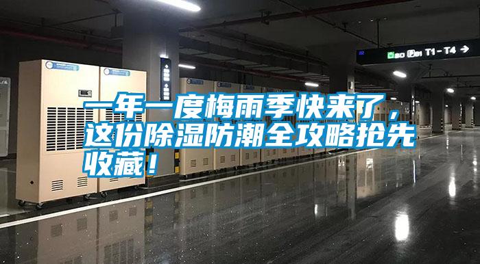 一年一度梅雨季快來了，這份除濕防潮全攻略搶先收藏！