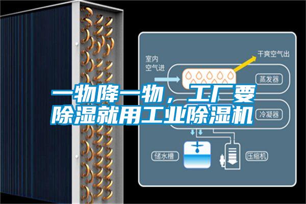 一物降一物，工廠要除濕就用工業(yè)除濕機(jī)