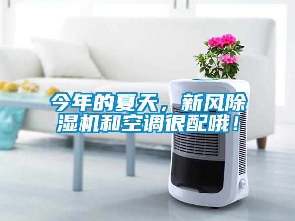 今年的夏天，新風(fēng)除濕機(jī)和空調(diào)很配哦！