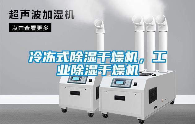 冷凍式除濕干燥機，工業(yè)除濕干燥機