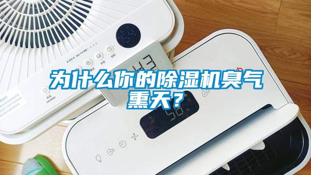為什么你的除濕機臭氣熏天？