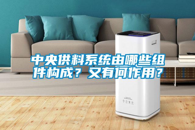 中央供料系統(tǒng)由哪些組件構(gòu)成？又有何作用？