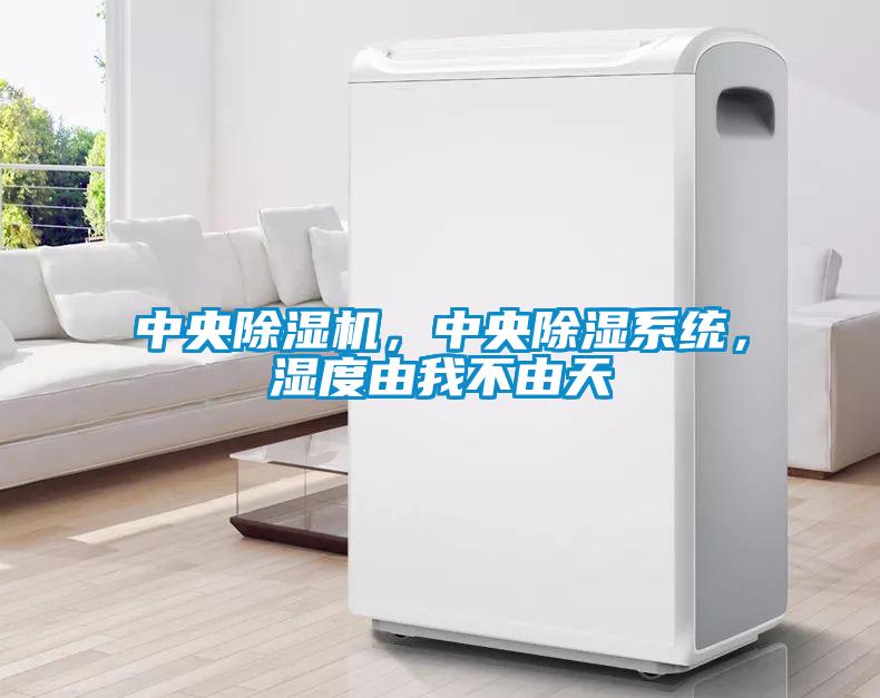 中央除濕機(jī)，中央除濕系統(tǒng)，濕度由我不由天