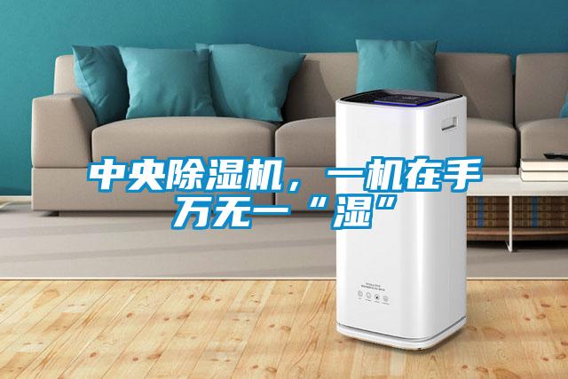 中央除濕機(jī)，一機(jī)在手萬(wàn)無(wú)一“濕”