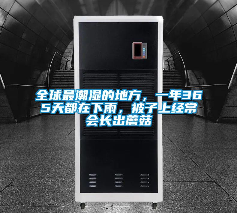 全球最潮濕的地方，一年365天都在下雨，被子上經(jīng)常會長出蘑菇