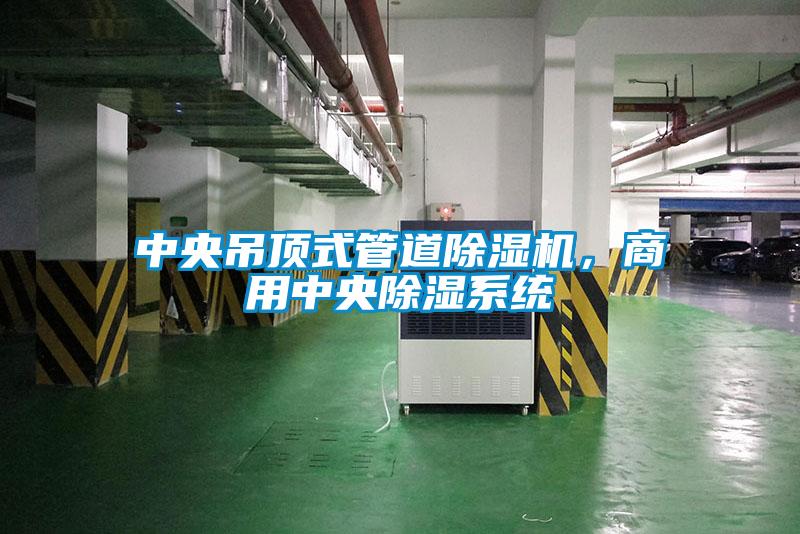 中央吊頂式管道除濕機(jī)，商用中央除濕系統(tǒng)