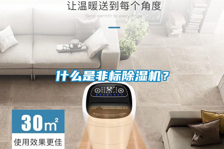 什么是非標除濕機？