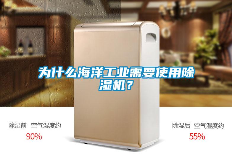 為什么海洋工業(yè)需要使用除濕機(jī)？