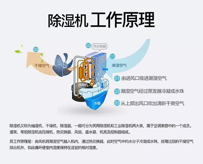 為室內(nèi)綠化園添置除濕機需要考慮哪些因素?