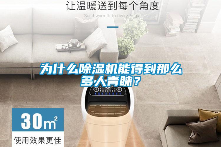 為什么除濕機(jī)能得到那么多人青睞？
