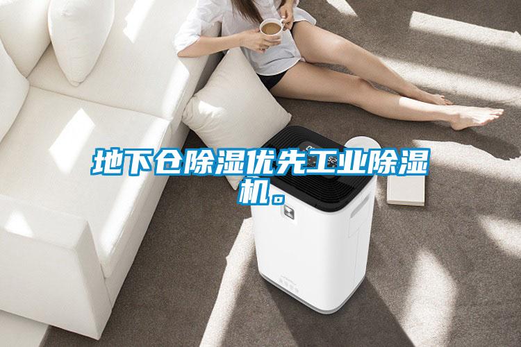 地下倉除濕優(yōu)先工業(yè)除濕機(jī)。