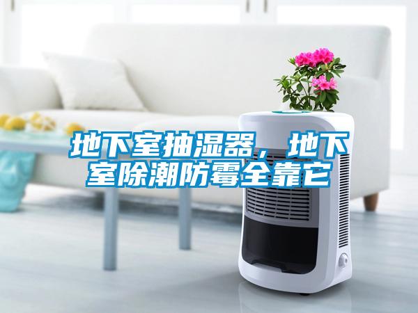 地下室抽濕器，地下室除潮防霉全靠它