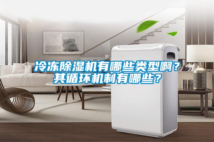 冷凍除濕機(jī)有哪些類型??？其循環(huán)機(jī)制有哪些？