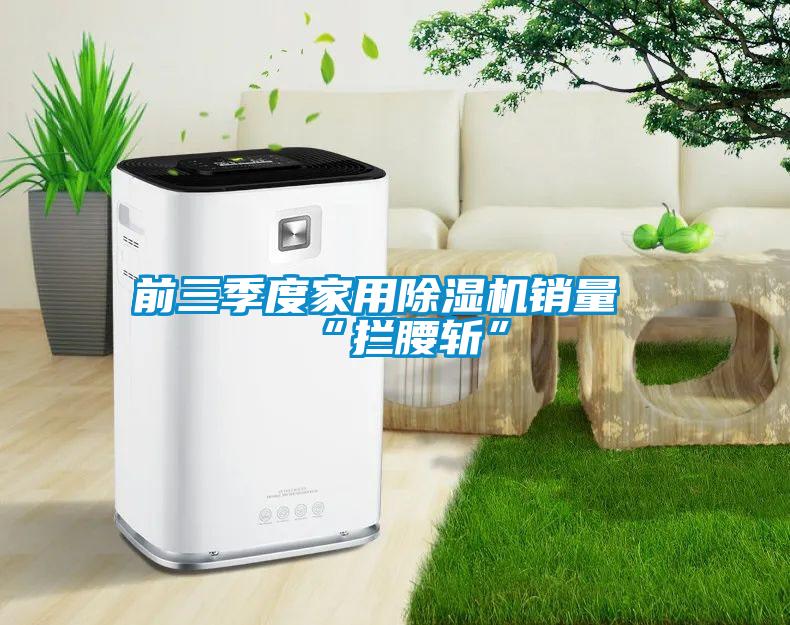 前三季度家用除濕機(jī)銷(xiāo)量“攔腰斬”