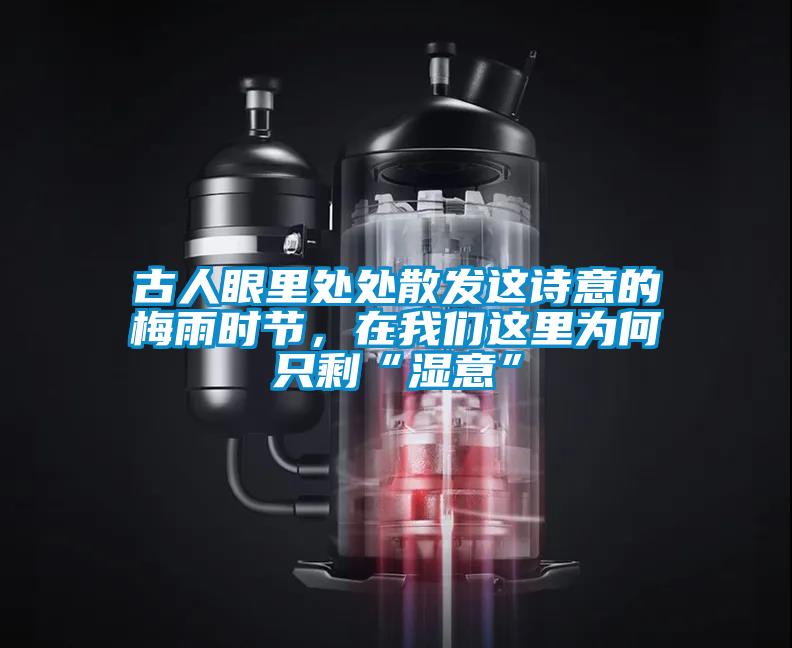 古人眼里處處散發(fā)這詩意的梅雨時節(jié)，在我們這里為何只剩“濕意”