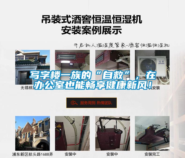 寫字樓一族的“自救”，在辦公室也能暢享健康新風！