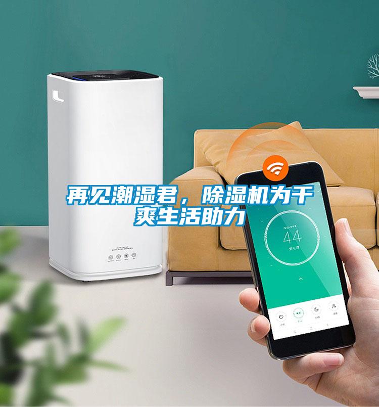 再見潮濕君，除濕機(jī)為干爽生活助力