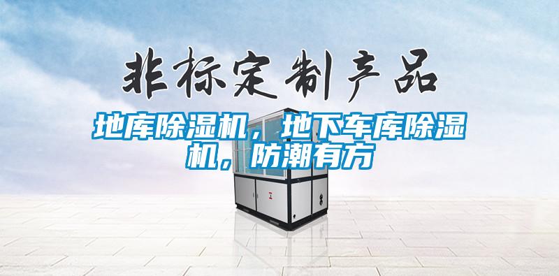 地庫(kù)除濕機(jī)，地下車庫(kù)除濕機(jī)，防潮有方