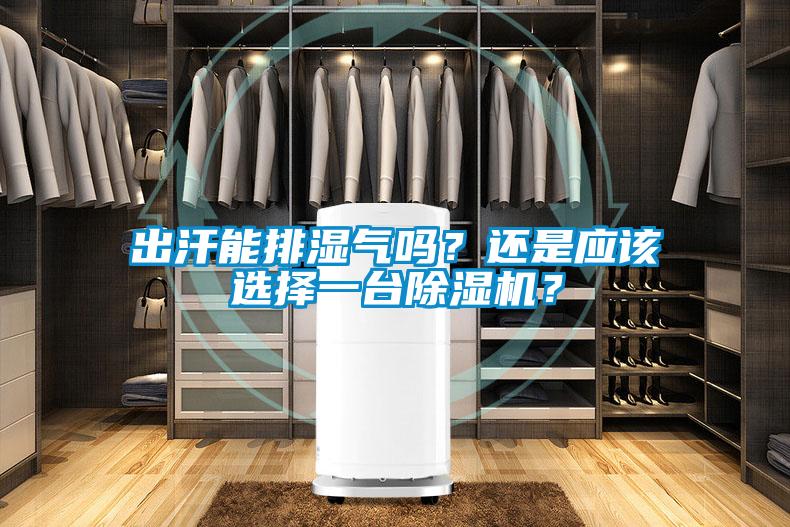 出汗能排濕氣嗎？還是應(yīng)該選擇一臺除濕機(jī)？