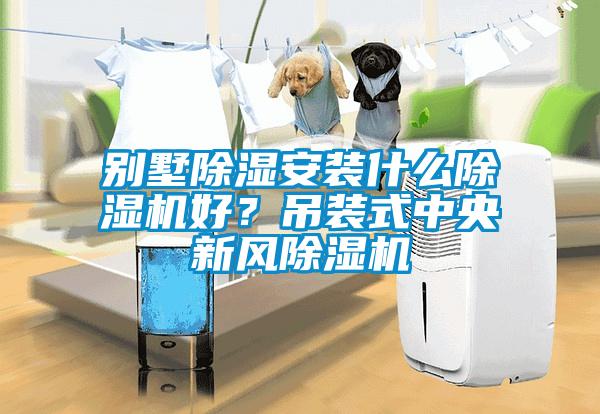 別墅除濕安裝什么除濕機好？吊裝式中央新風除濕機