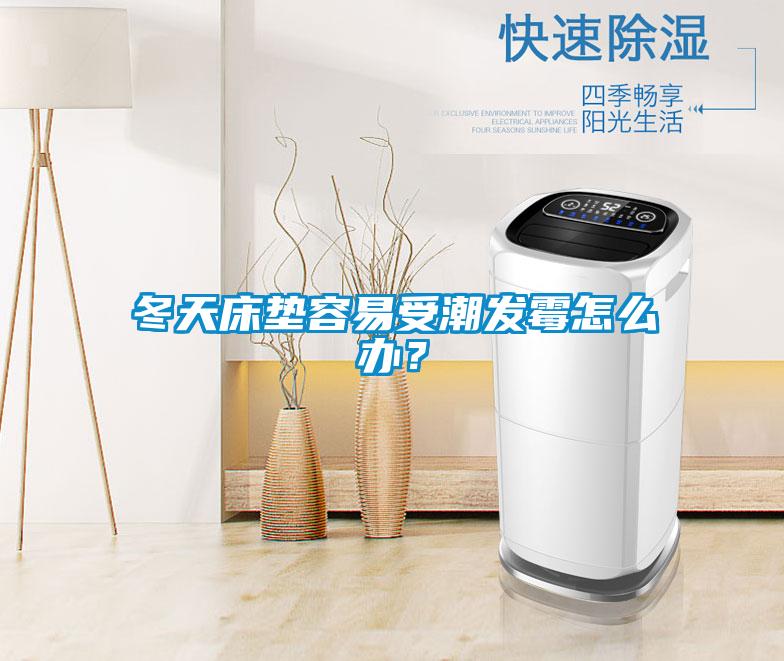 冬天床墊容易受潮發(fā)霉怎么辦？