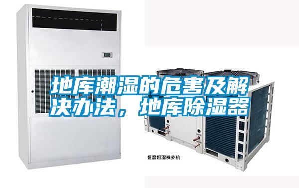 地庫潮濕的危害及解決辦法，地庫除濕器