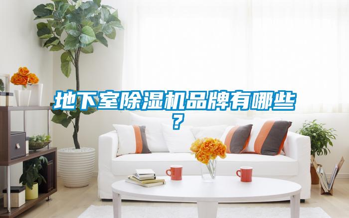 地下室除濕機品牌有哪些？