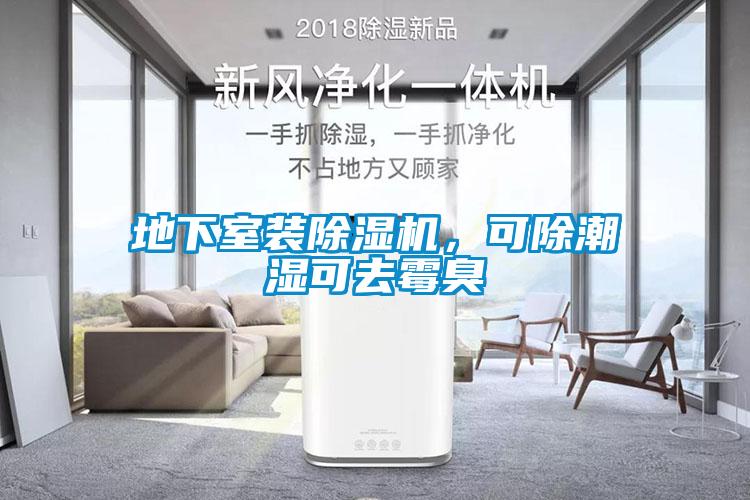 地下室裝除濕機(jī)，可除潮濕可去霉臭