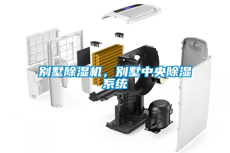 別墅除濕機，別墅中央除濕系統(tǒng)