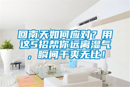 回南天如何應(yīng)對？用這5招幫你遠(yuǎn)離濕氣，瞬間干爽無比！