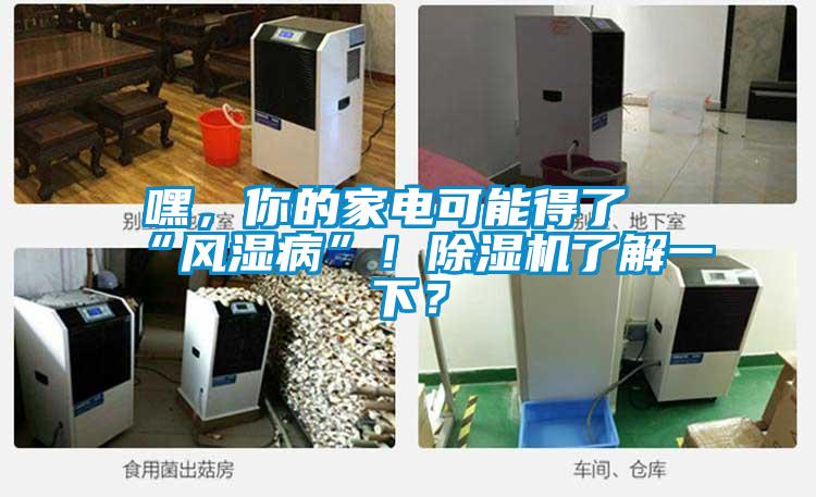 嘿，你的家電可能得了“風(fēng)濕病”！除濕機(jī)了解一下？