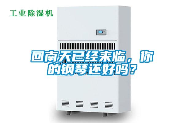 回南天已經(jīng)來臨，你的鋼琴還好嗎？