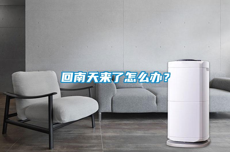 回南天來(lái)了怎么辦？