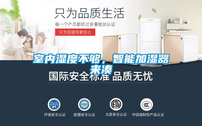 室內濕度不夠，智能加濕器來湊