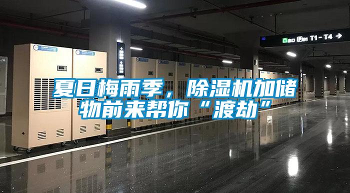 夏日梅雨季，除濕機(jī)加儲物前來幫你“渡劫”