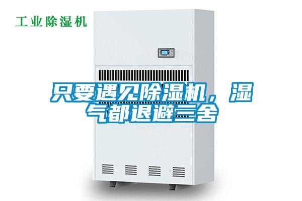 只要遇見(jiàn)除濕機(jī)，濕氣都退避三舍