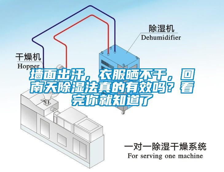 墻面出汗，衣服曬不干，回南天除濕法真的有效嗎？看完你就知道了