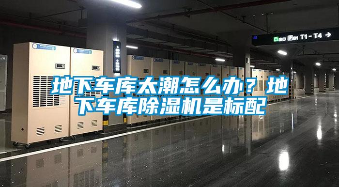 地下車庫太潮怎么辦？地下車庫除濕機(jī)是標(biāo)配