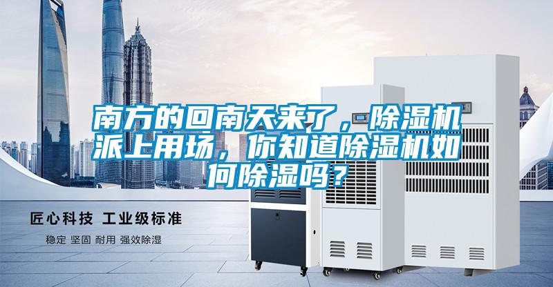 南方的回南天來了，除濕機(jī)派上用場，你知道除濕機(jī)如何除濕嗎？