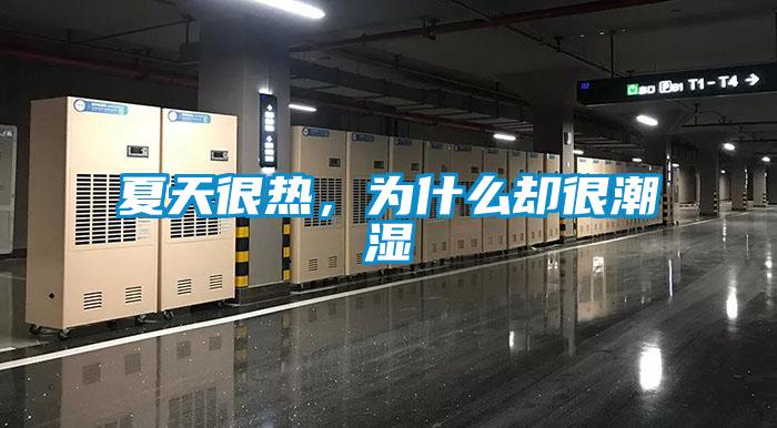 夏天很熱，為什么卻很潮濕