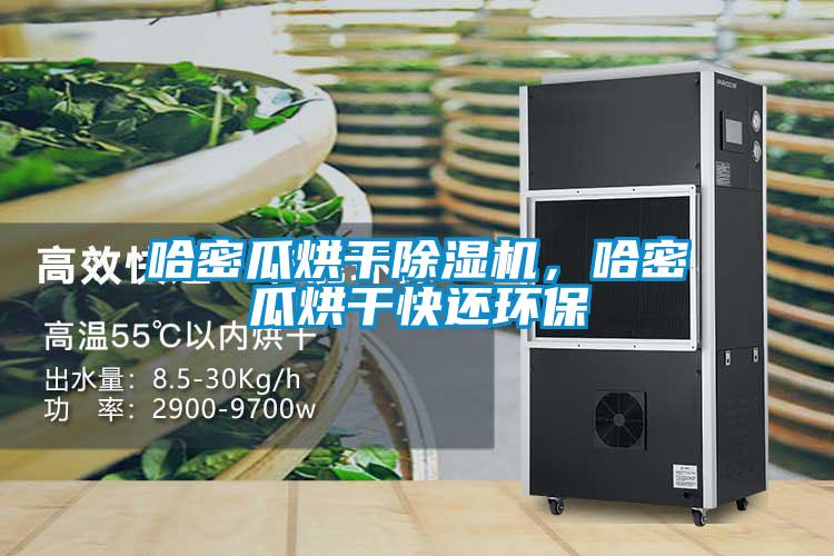 哈密瓜烘干除濕機(jī)，哈密瓜烘干快還環(huán)保