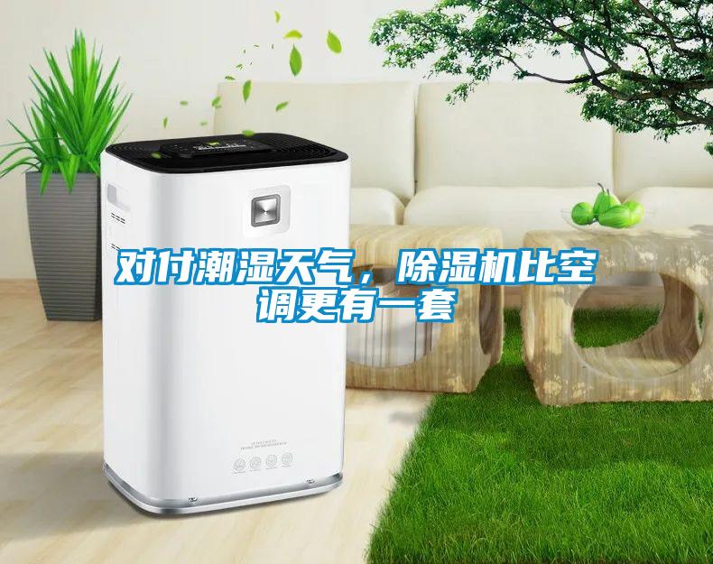 對付潮濕天氣，除濕機比空調(diào)更有一套