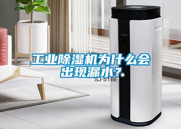 工業(yè)除濕機(jī)為什么會出現(xiàn)漏水？