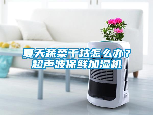 夏天蔬菜干枯怎么辦？超聲波保鮮加濕機