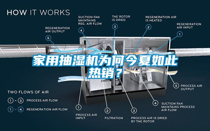家用抽濕機(jī)為何今夏如此熱銷(xiāo)？